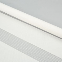 Ролета День-Ночь  65*170 серый ХХХ АКЦИЯ