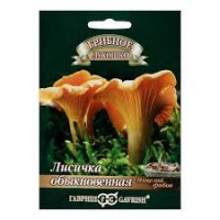 Семена Грибы Лисички на зерновом субстрате 15мл