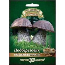 Семена Грибы Подберезовик на зерновом субстрате 15мл