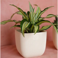 Кашпо Фабио 1,95л с дренаж. крем