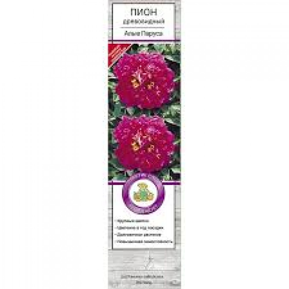 Пион древовидный Алые паруса привитый (коробка)