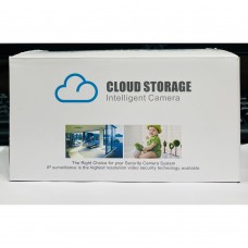 Камера Cloud Storage V361