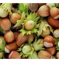 Фундук Шоколадный ОКС