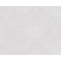 Обои виниловые на флиз.основе 1,06*10,05 Сейшелы 70657-14 ХХХ