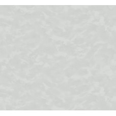 Обои виниловые на флиз.основе 1,06*10,05 Феникс 75291-41