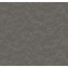 Обои виниловые на флиз.основе 1,06*10,05 Феникс 75291-44