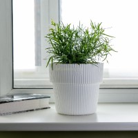 Кашпо Алемар 8,2л белый с дренаж. системой