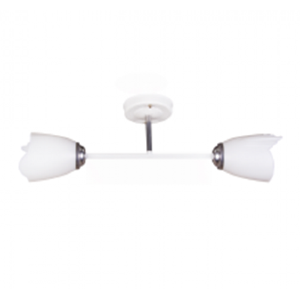 Светильник потолочный 1010/2 белый+хром