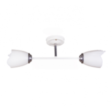 Светильник потолочный 1010/2 белый+хром