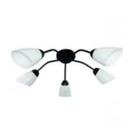 Светильник потолочный 1012/5 черный