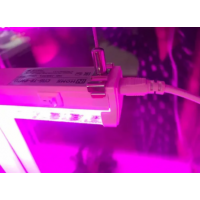 Светильник светодиодный СПБ-Т5-ФИТО 20Вт 230В 1170мм IN HOME