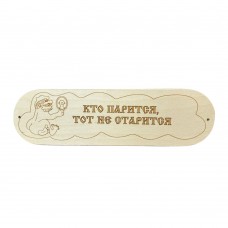 Табличка КТО ПАРИТСЯ ТОТ НЕ СТАРИТСЯ 28х8см