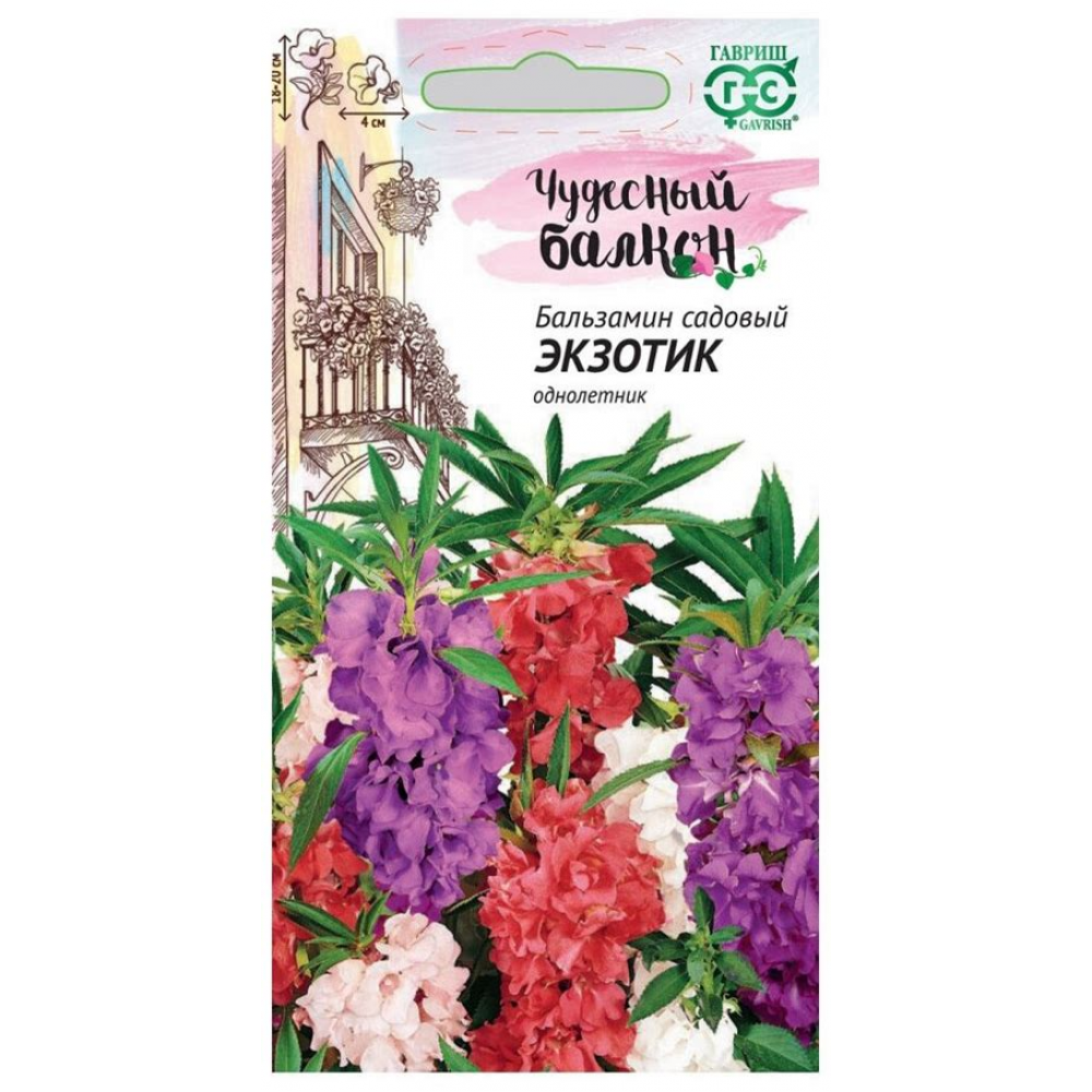 Семена цветы Бальзамин Экзотик садовый 0,1г