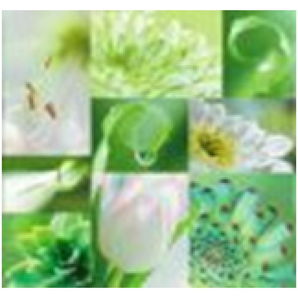 Клеёнка GRACE 1.4x20 ткань с пвх покрытием STG397 мин.ост. 1,5м Клеёнка GRACE 1.4x20 ткань с пвх покрытием STG397 мин.ост. 1,5м