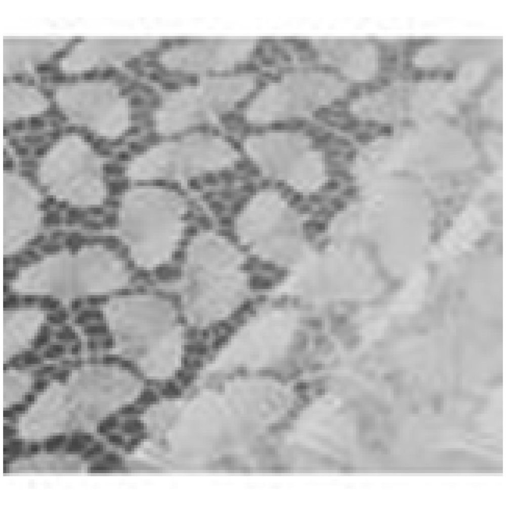 Клеёнка столовая GRACE Лейс 1.37x20(Китай) TLF008U рез 0,5м  мин.ост. 1,5м Клеёнка столовая GRACE Лейс 1.37x20(Китай) TLF008U рез 0,5м  мин.ост. 1,5м