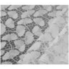 Клеёнка столовая GRACE Лейс 1.37x20(Китай) TLF008U рез 0,5м  мин.ост. 1,5м Клеёнка столовая GRACE Лейс 1.37x20(Китай) TLF008U рез 0,5м  мин.ост. 1,5м