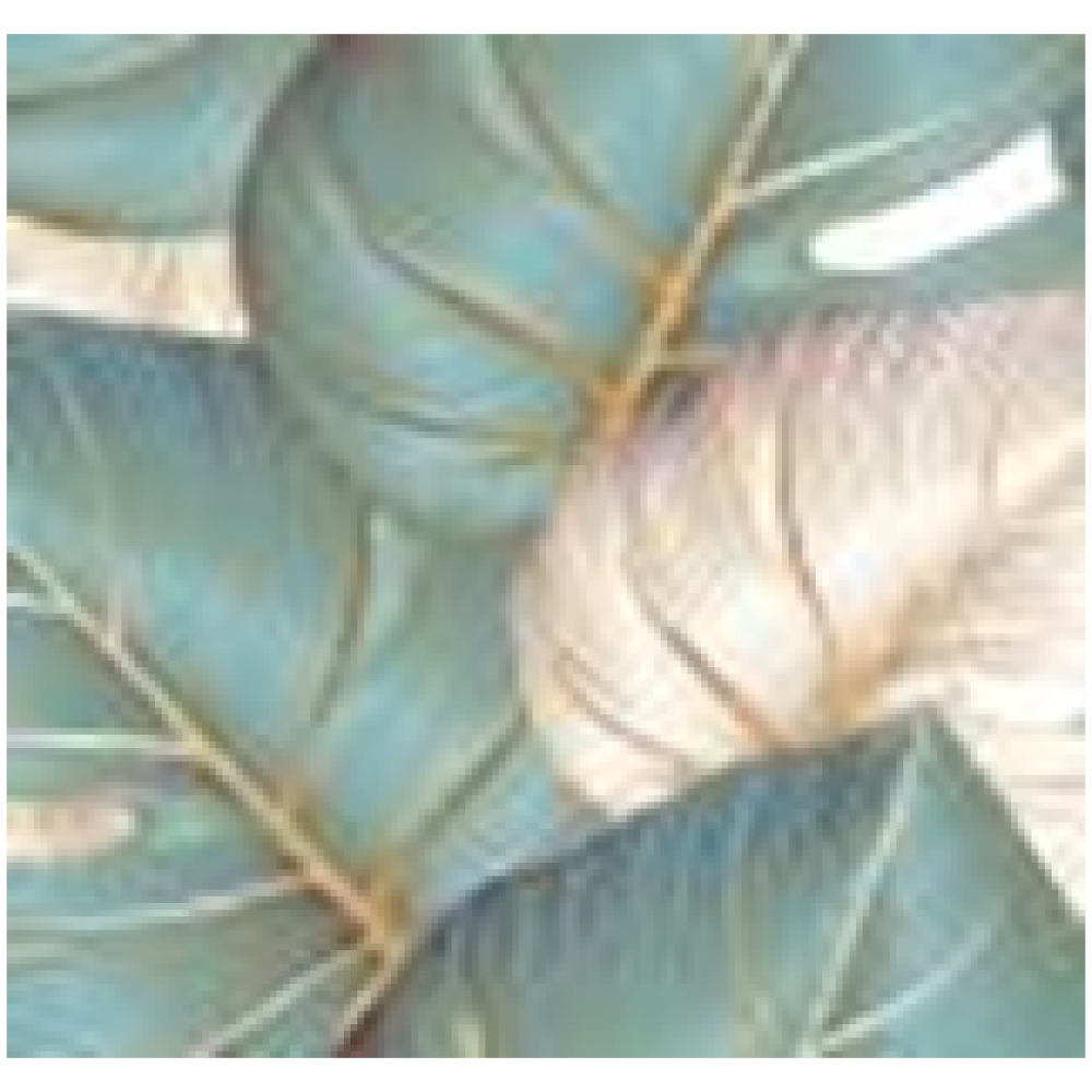 Клеёнка GRACE 1.4x20 ткань с пвх покрытием STS1079 мин.ост. 1,5м Клеёнка GRACE 1.4x20 ткань с пвх покрытием STS1079 мин.ост. 1,5м