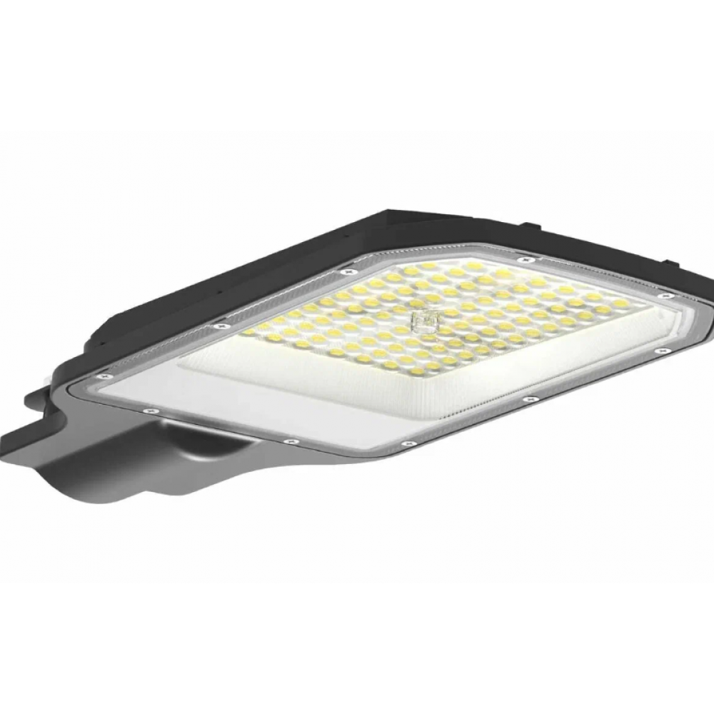 Светильник уличный светодиодный ДКУ-2L 200Вт 5000К