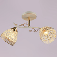 Светильник потолочный 03201-0.3-02