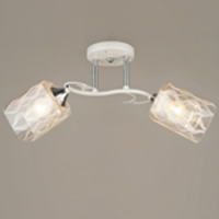 Светильник потолочный 04079-0.3-02