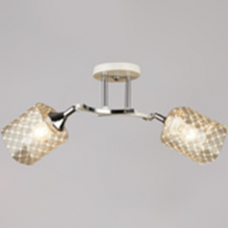 Светильник потолочный 04513-0.3-02