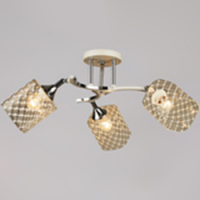 Светильник потолочный 04513-0.3-03