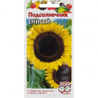 Семена Подсолнечник Енисей 10 г
