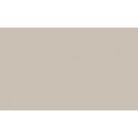 Обои виниловые на флиз.основе 1,06*10,05 Директор 588991 Victoria Stenova