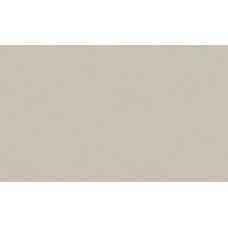 Обои виниловые на флиз.основе 1,06*10,05 Директор 588991 Victoria Stenova Обои виниловые на флиз.основе 1,06*10,05 Директор 588991 Victoria Stenova