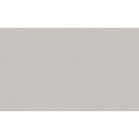 Обои виниловые на флиз.основе 1,06*10,05 Директор 588992 Victoria Stenova