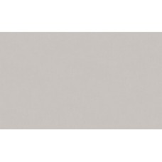 Обои виниловые на флиз.основе 1,06*10,05 Директор 588992 Victoria Stenova Обои виниловые на флиз.основе 1,06*10,05 Директор 588992 Victoria Stenova