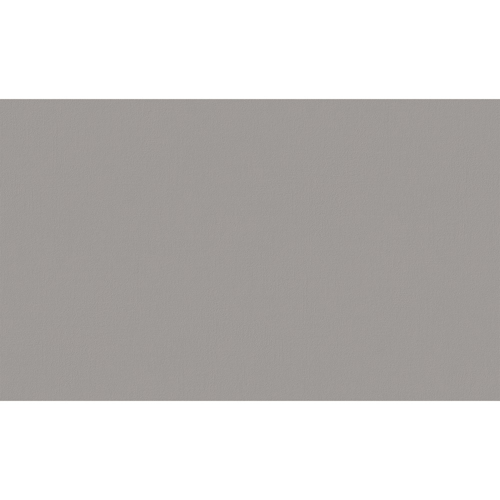 Обои виниловые на флиз.основе 1,06*10,05 Директор 588997 Victoria Stenova