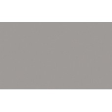 Обои виниловые на флиз.основе 1,06*10,05 Директор 588997 Victoria Stenova