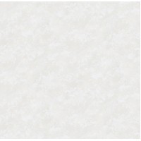 Обои виниловые на флиз.основе 1,06*10,05 Фреско 285621 Victoria Stenova