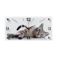 Часы настенные "Серый кот" Рубин 1939-019