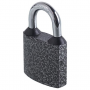 Замок навесной 303F-60мм 108902 Замок навесной 303F-60мм 108902