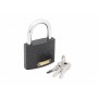 Замок навесной 303F-60мм 108902 Замок навесной 303F-60мм 108902