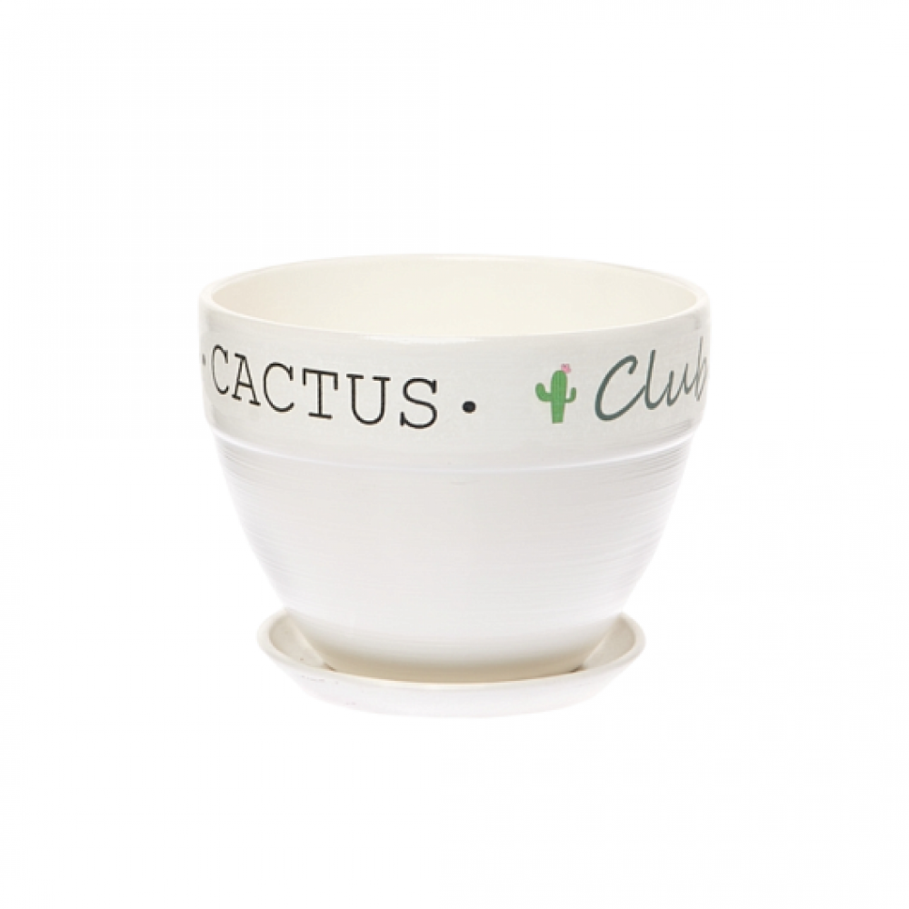 Кашпо керамическое Кактус клуб №3 д15 овал борт Кашпо керамическое Кактус клуб №3 д15 овал борт