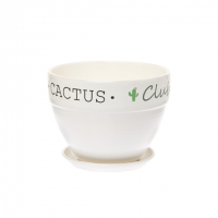 Кашпо керамическое Кактус клуб №3 д15 овал борт
