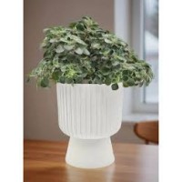 Кашпо Бекер 2,8л белый 5PL0733