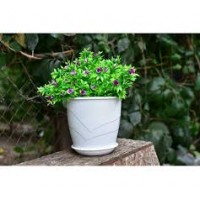 Кашпо Венеция 2,0л белый с поддоном 5PL0368