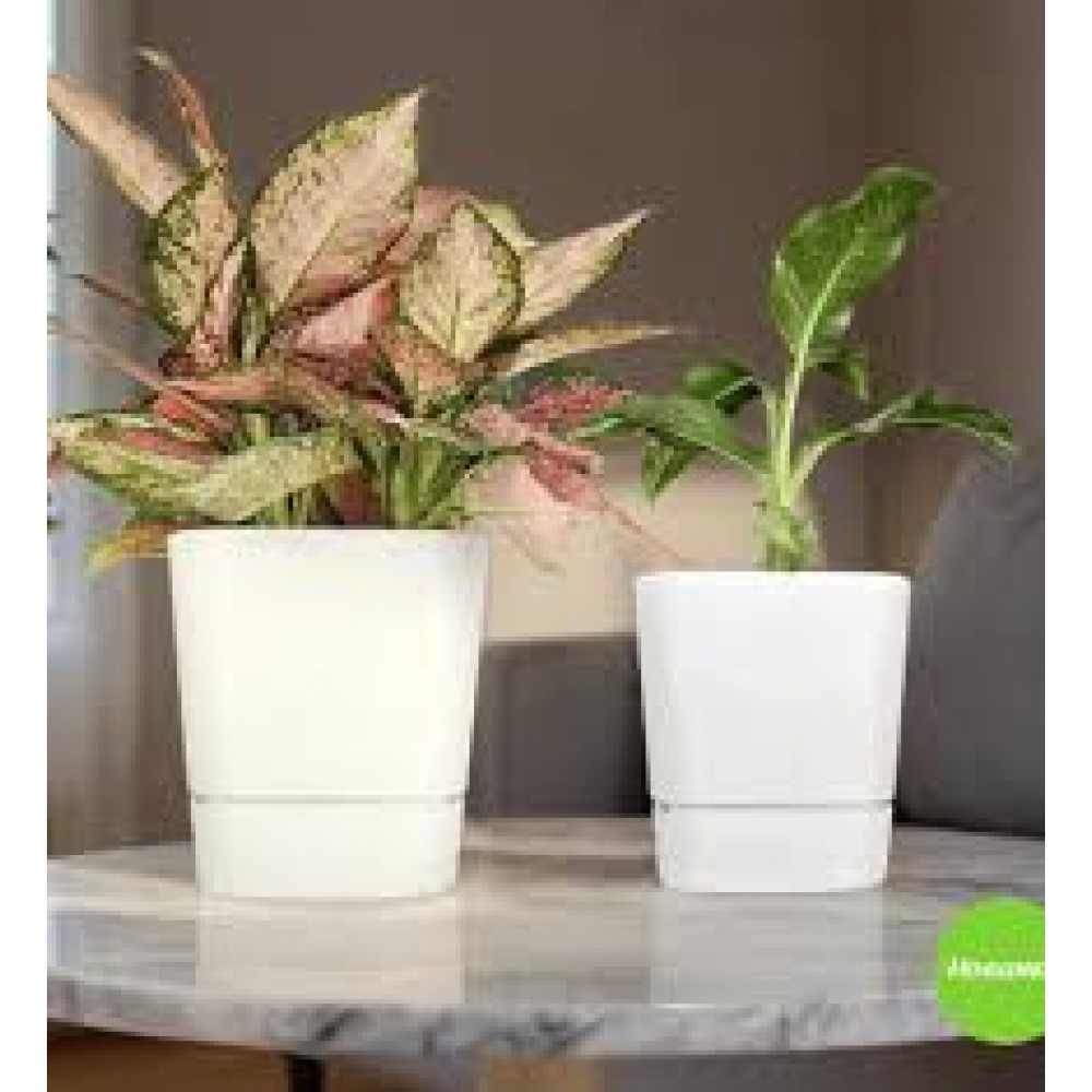 Кашпо Квадрат Гранд 2,7л белый 5PL0781 Кашпо Квадрат Гранд 2,7л белый 5PL0781