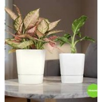 Кашпо Квадрат Гранд 2,7л белый 5PL0781