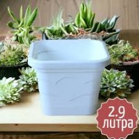 Кашпо Квадрат Валенсия 2,9л ментол 5PL0517