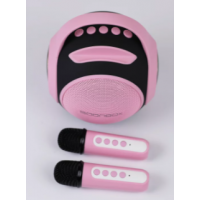 Портативная колонка S5100 (караоке)