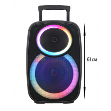 Колонка NDR-A55, Bluetooth, 61см, дин.1шт/15", 40Вт, пульт, беспр. микр, подсветка