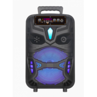 Колонка NDR-P55, Bluetooth, 38см, дин.1шт/8", 20Вт, пульт, микрофон, подсветка