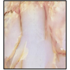 Пленка самоклеющаяся 67,5см*8м Мрамор розов.-беж Axelfix (0001M) Пленка самоклеющаяся 67,5см*8м Мрамор розов.-беж Axelfix (0001M)