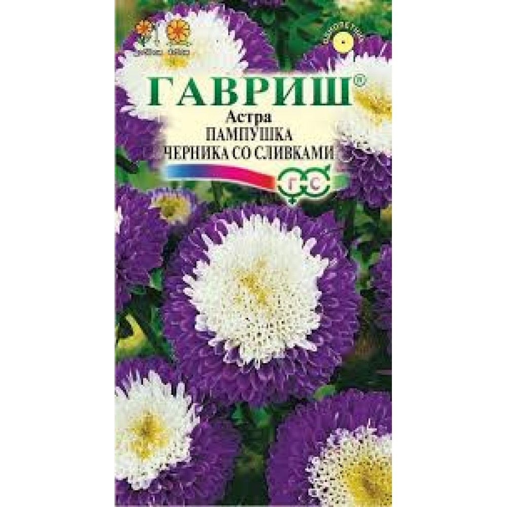 Семена Цветы Астра Пампушка черника со сливками 0,3 гр. 