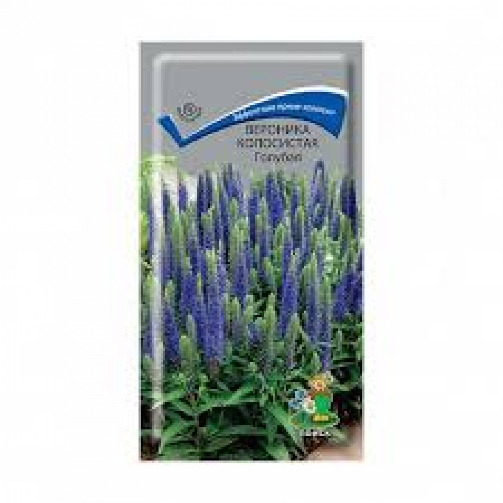 Семена Цветы Вероника колосистая Голубая 0,1г Поиск Семена Цветы Вероника колосистая Голубая 0,1г Поиск